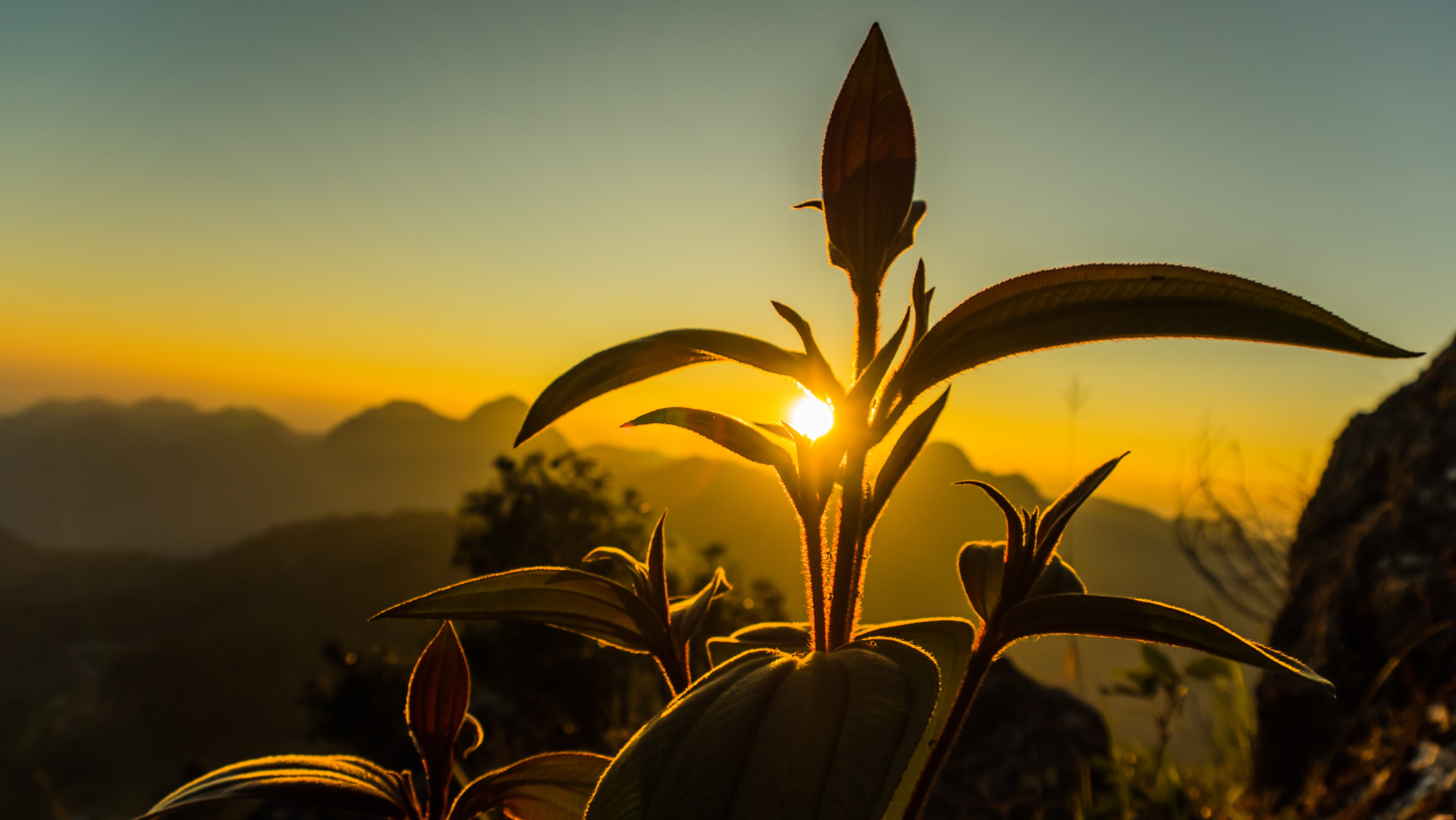 Sophrologue Moyeuvre-Grande