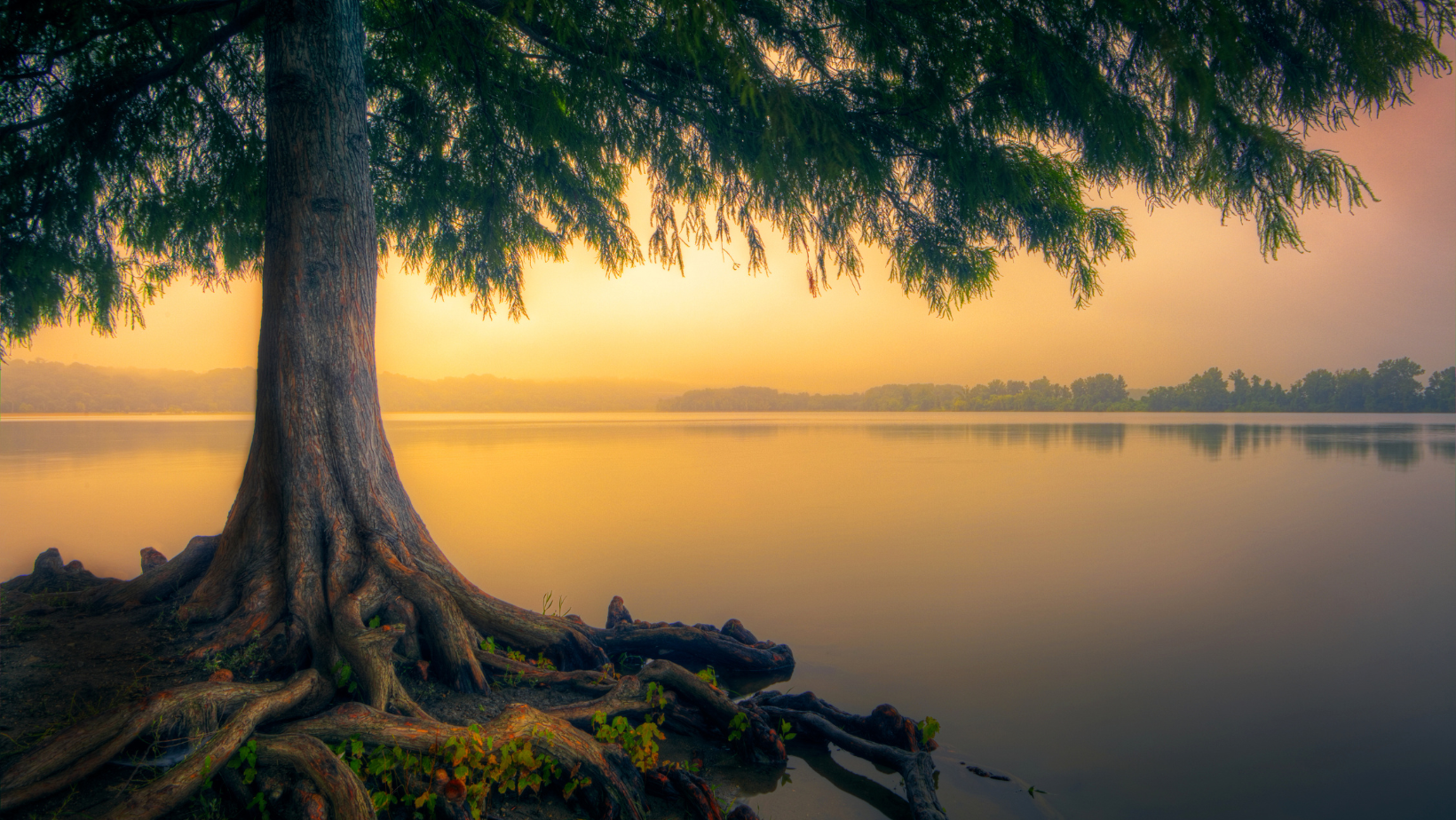 Sophrologue Moyeuvre-Grande